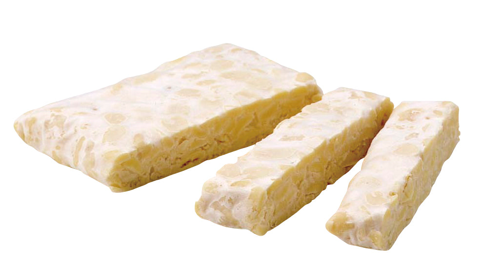 T-100 Tempeh