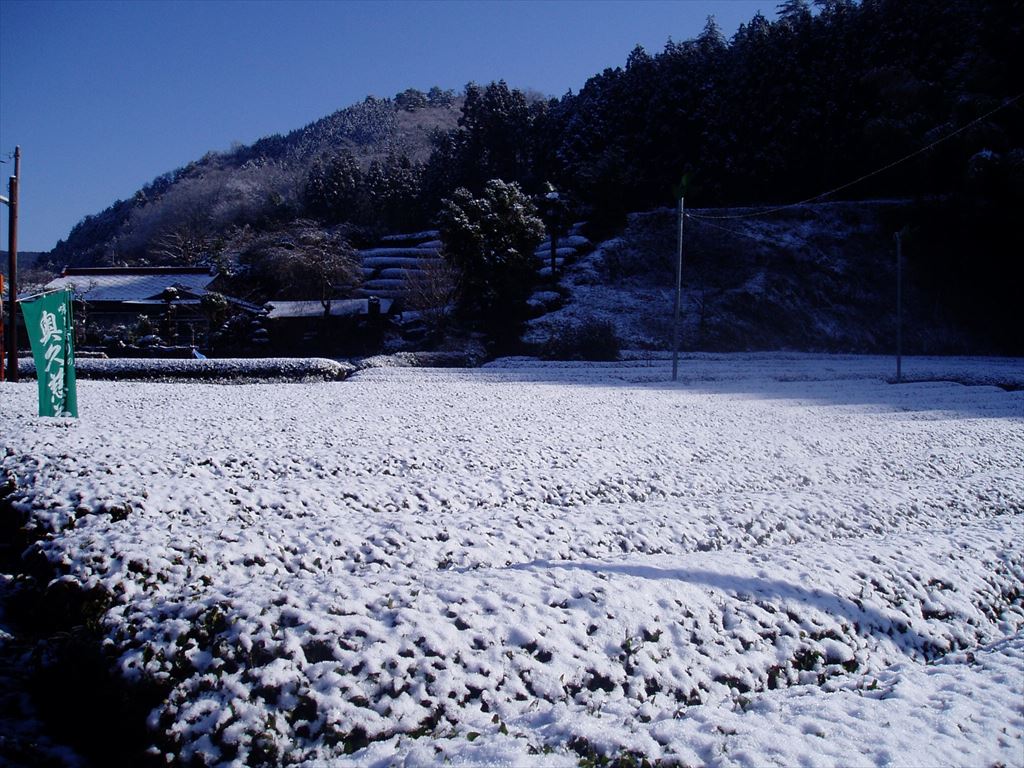 High-grade Sencha Green Tea (Yamizo)