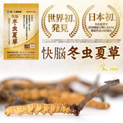 Introducing Japan's first! Kaino Cordyceps, 90 capsules