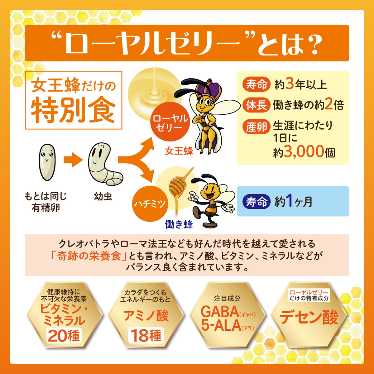 ROYAL JELLY+GABA