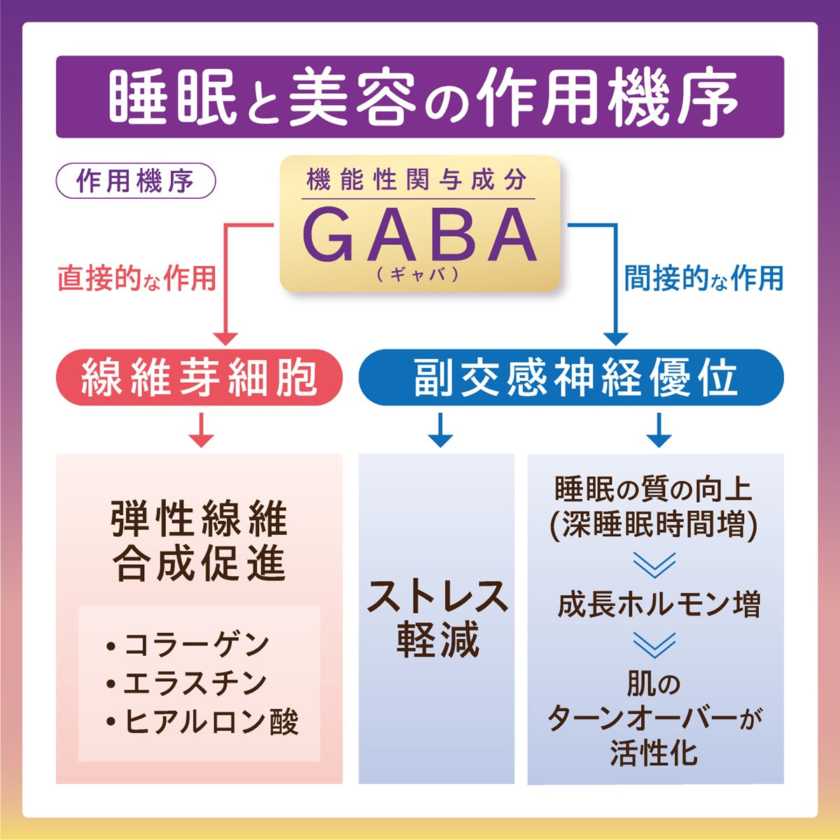 ROYAL JELLY+GABA