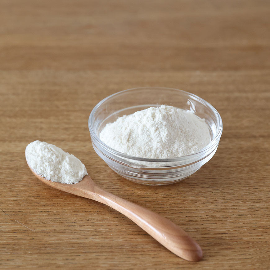 Organic Lactic Acid Bacteria Powder (Japanese Plant Based La)