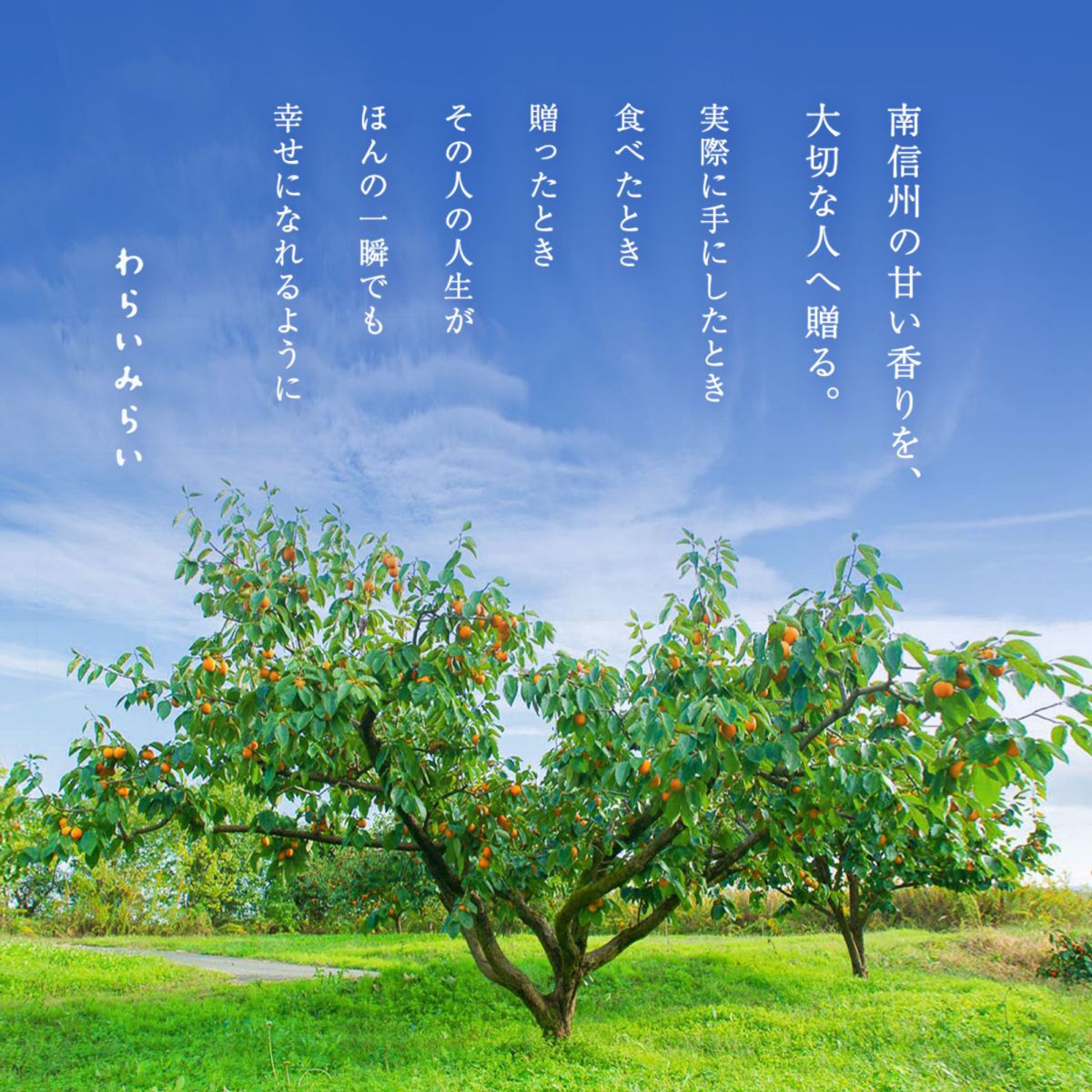 Warai Mirai Ichida Kaki — 1 kg Home-Use Bag image 5