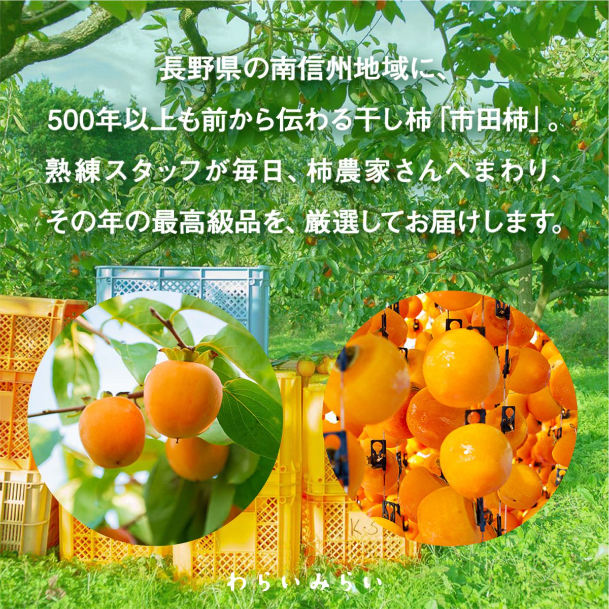Warai Mirai Ichida Kaki — 1 kg Home-Use Bag image 6