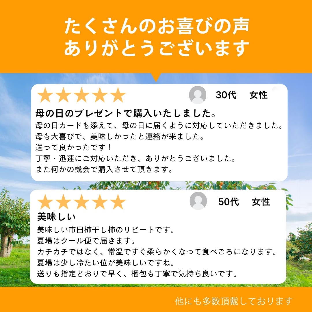 Warai Mirai Ichida Kaki — 1 kg Home-Use Bag image 14