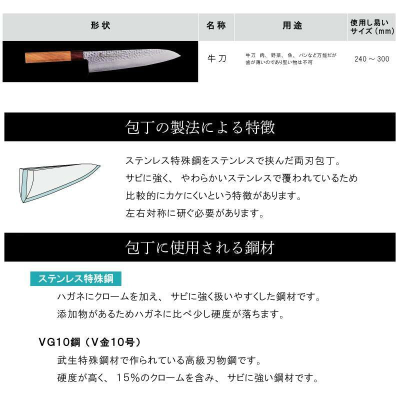 Sakai Takayuki Gyuto 210mm