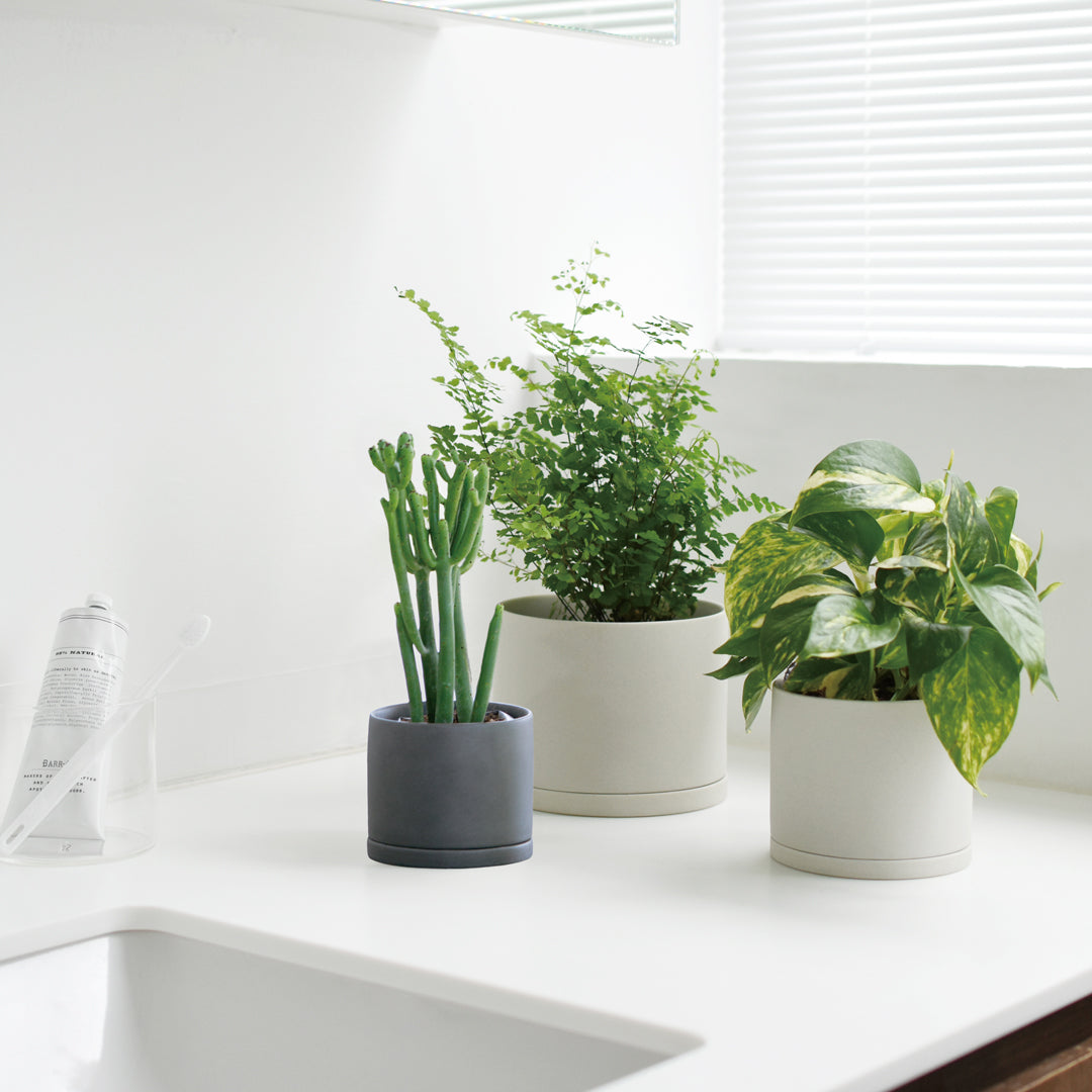 KINTO 191_ Plant Pot 105 x 95 mm, 191_ Plant Pot 105 x 95 mm in Earth Grey or Dark Grey, Glazed Earthenware With Drainage Hole, Wipe Dry and Use Indoors, Made in China, 10.5 x 10.5 x 9.5 cm and 450 g, Earth Grey or Dark Grey
