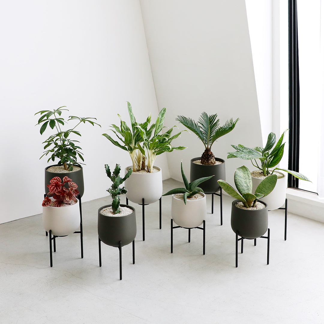 KINTO 211_ Plant Pot With Stand 160 mm, 211_ Plant Pot With Stand 160 mm in Earth Grey or Dark Grey, Glazed Earthenware With Drainage Hole, Wipe Dry and Use Indoors, Made in China, 18 x 16 x 28.5 cm and 1370 g, Earth Grey or Dark Grey