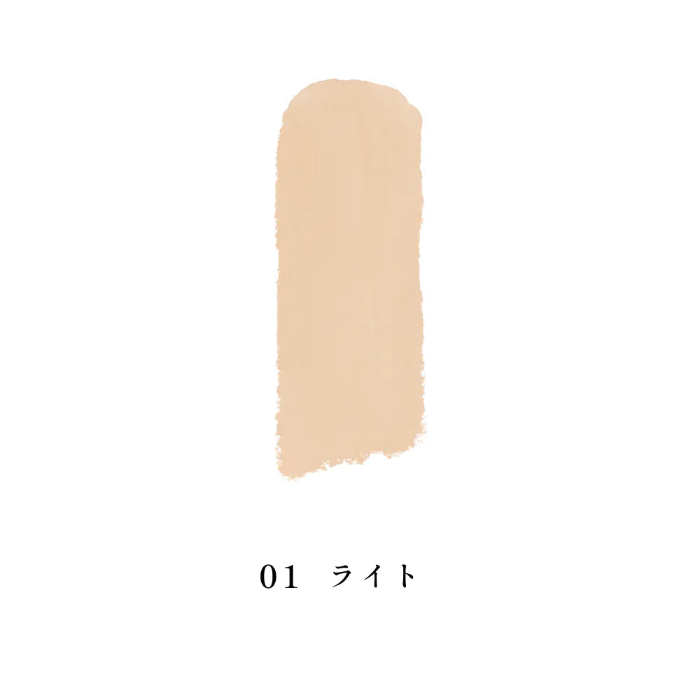 INOUI Concealer — Stick Concealer SPF25 PA+++ 5.2g