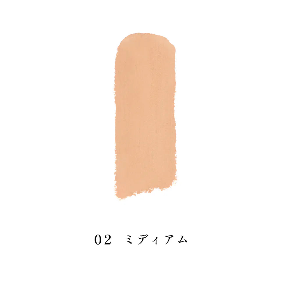INOUI Concealer — Stick Concealer SPF25 PA+++ 5.2g