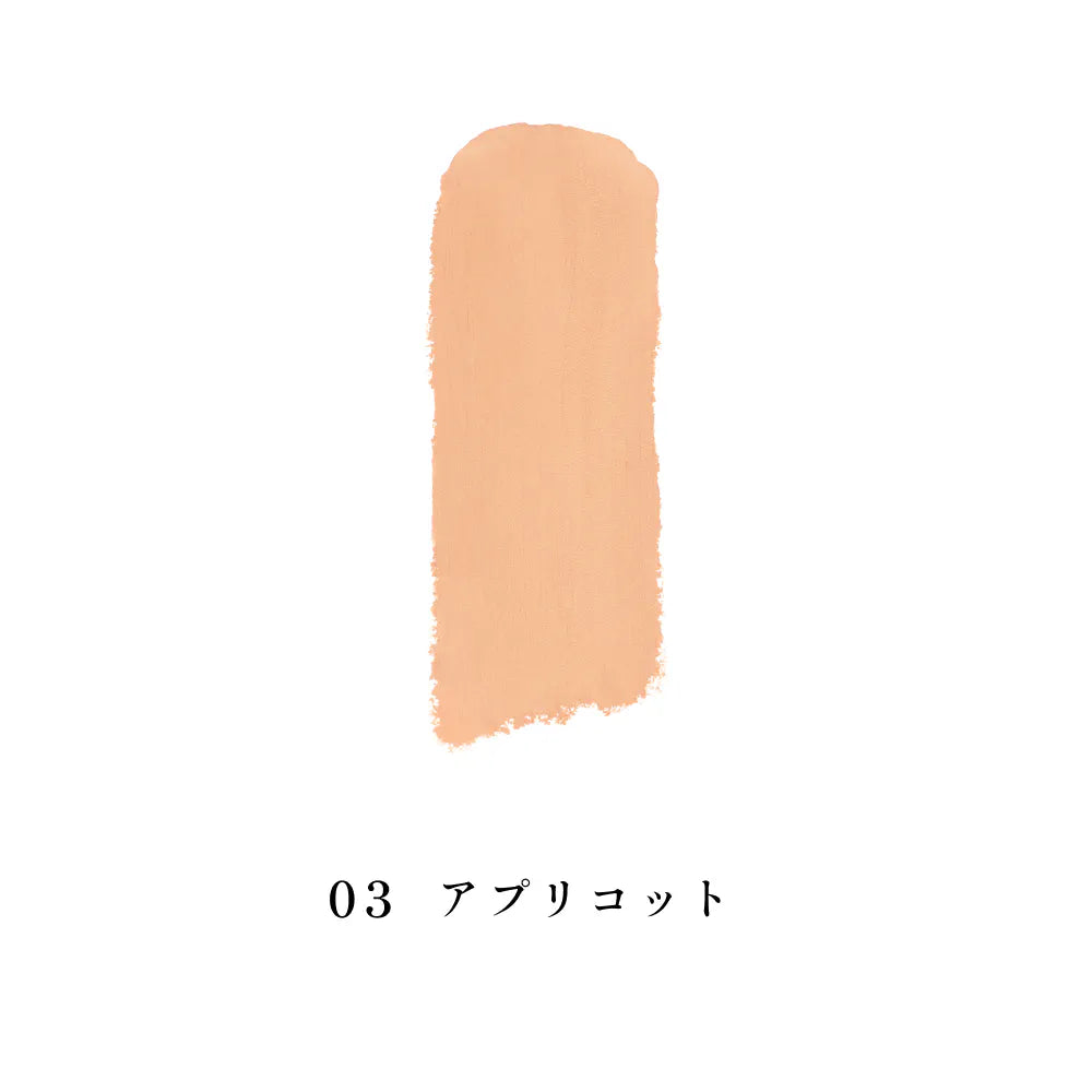 INOUI Concealer — Stick Concealer SPF25 PA+++ 5.2g
