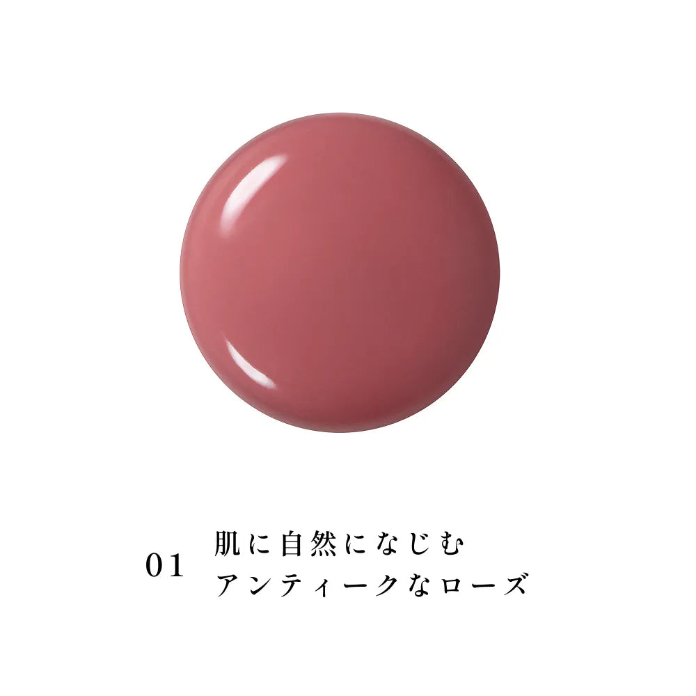 INOUI Lip — Glossy Sheer Lipstick 4g