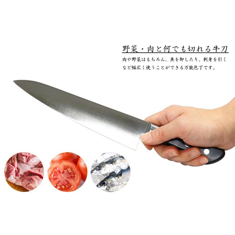 Sakai Takayuki Gyuto 210mm