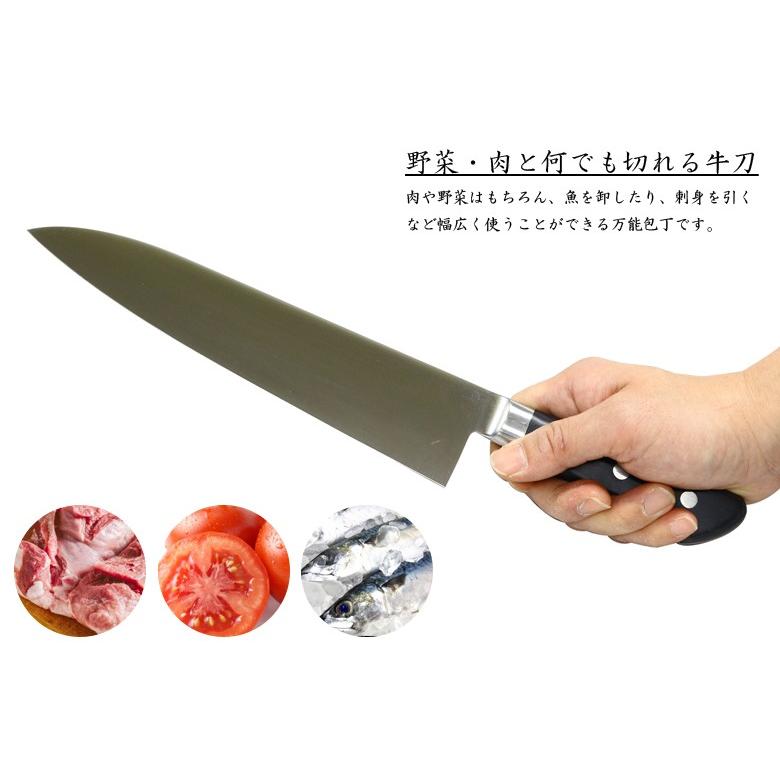 Sakai Takayuki Gyuto 240mm
