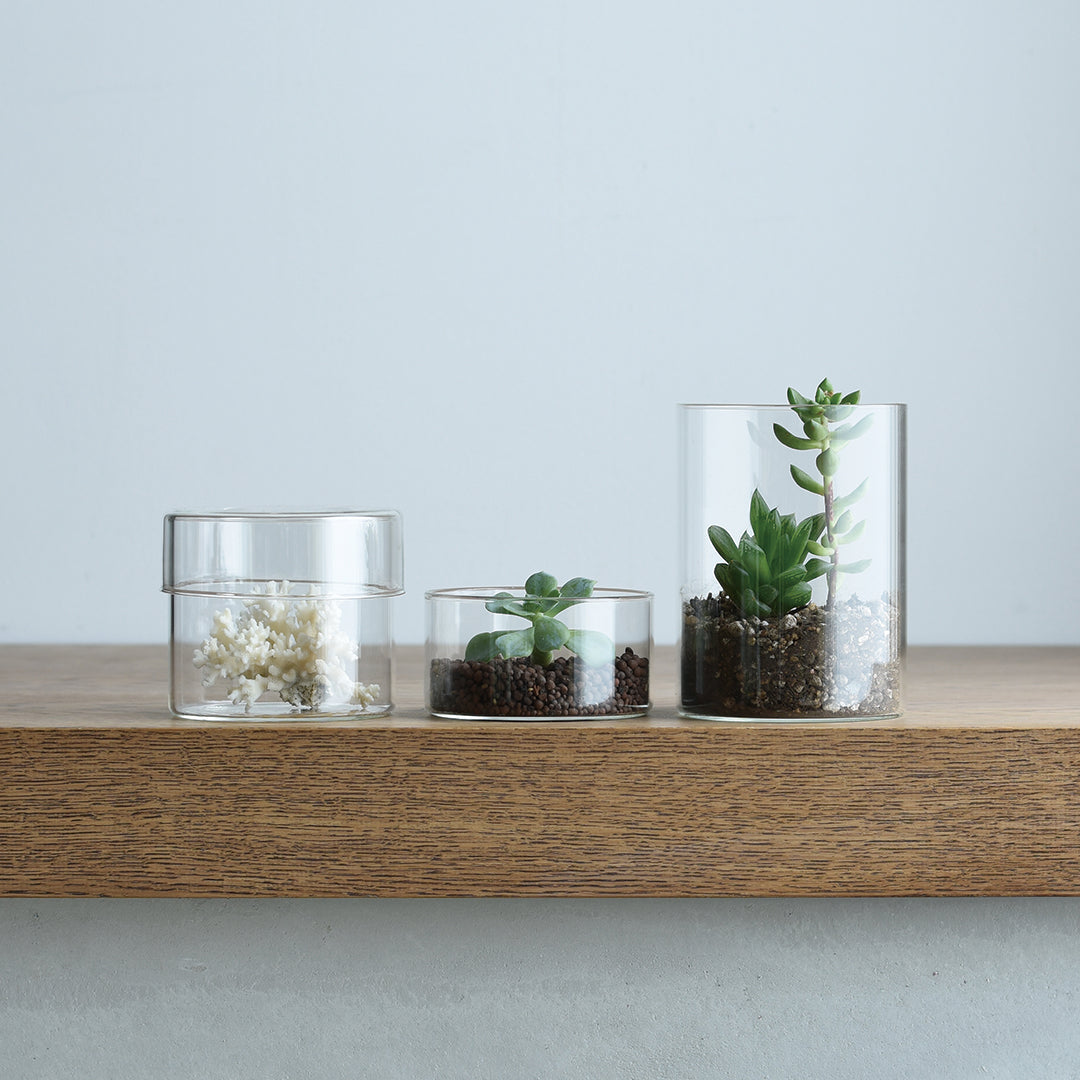 KINTO SCHALE Glass Case 100 x 130 mm Smoke, Smoke Heat-Resistant Glass Case 100 x 130 mm Holding 800 mL for Coffee Beans, Tea or Snacks, Microwave and Dishwasher Safe, Made in China, 10 x 10 x 13 cm and 280 g, Smoke