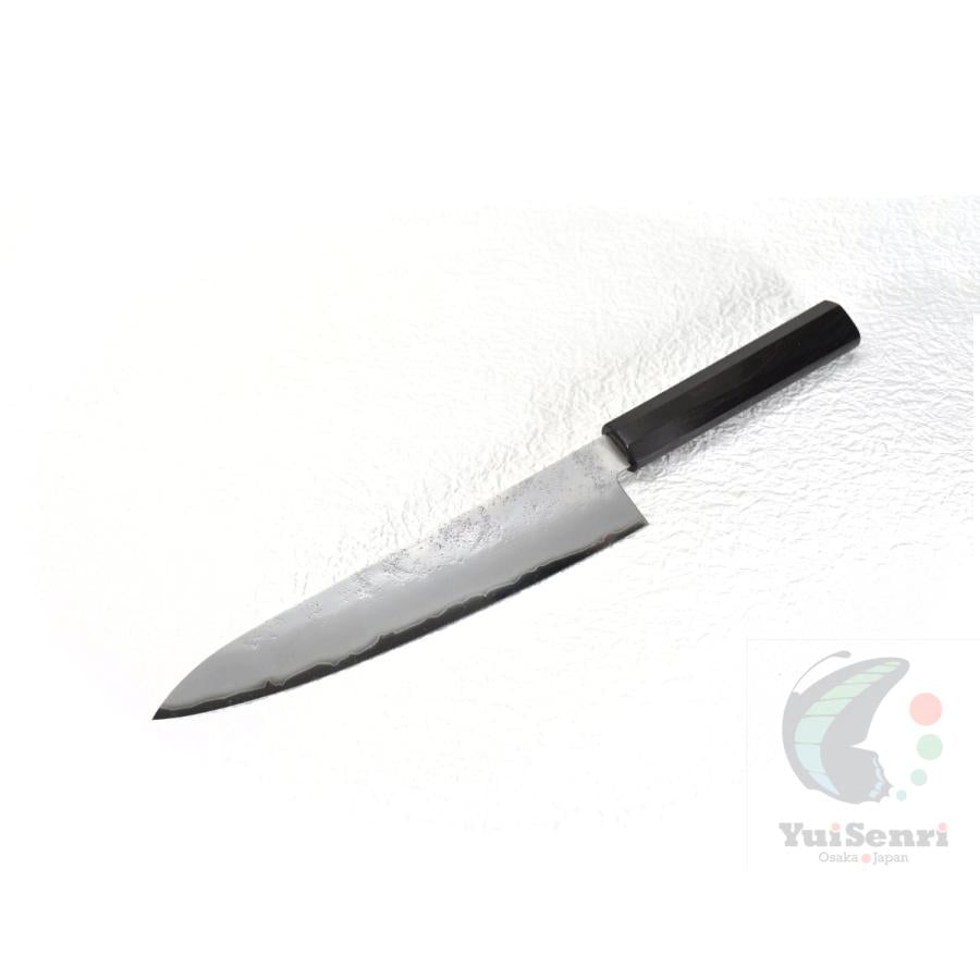 Sakai Takayuki Gyuto 210mm